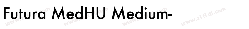 Futura MedHU Medium字体转换